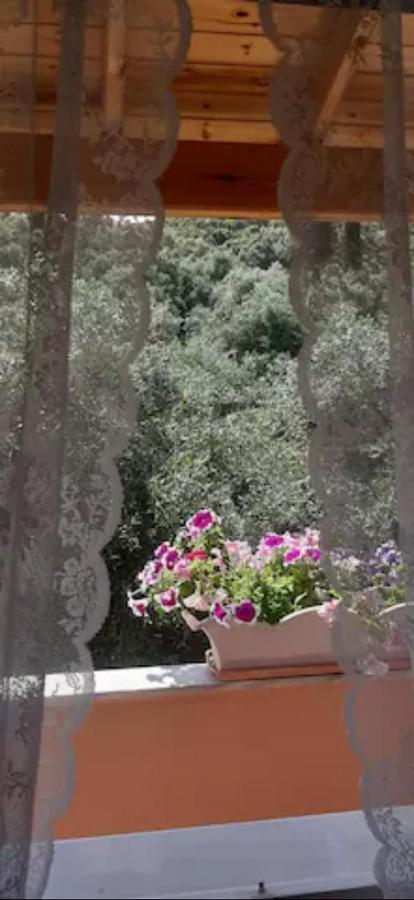Armonia Apartments Corfu  Bagian luar foto