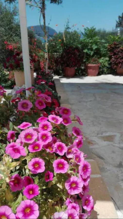 Armonia Apartments Corfu  Bagian luar foto